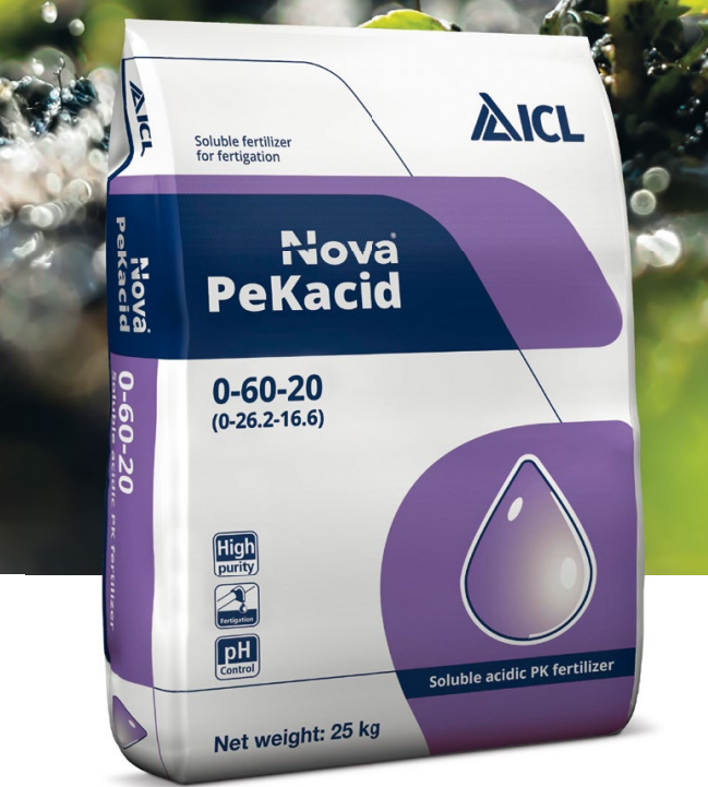 Добриво Пекасід К-20% Р-60% Ізраїль