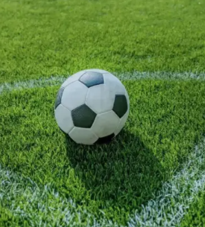 Насіння газонної трави для спортивних майданчиків Смарагд Barstadium RPR GLS, Barenbrug Нідерланди